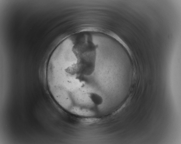 X0000087531290200705251652