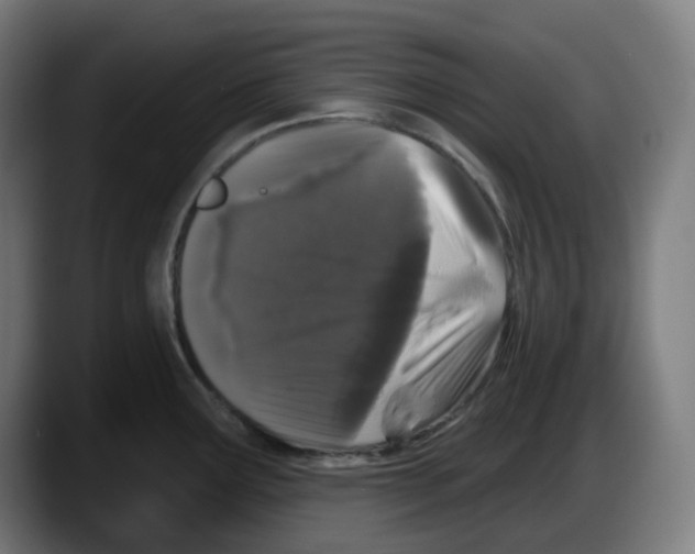 X0000087531291200705251652