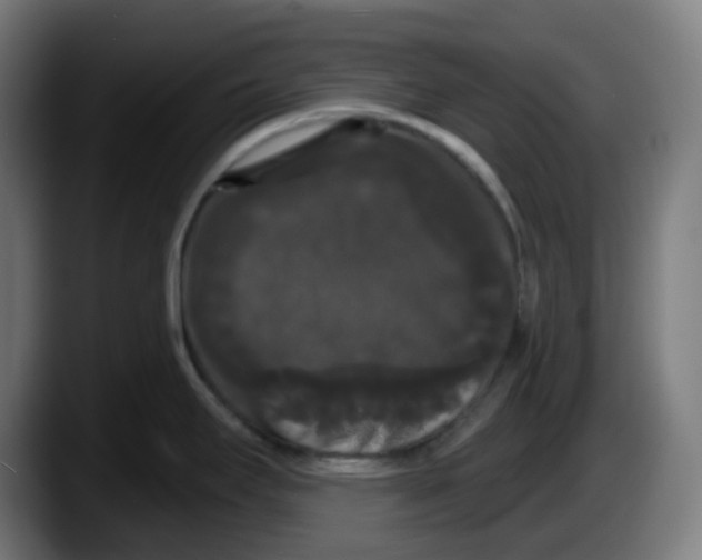 X0000087531295200705251652