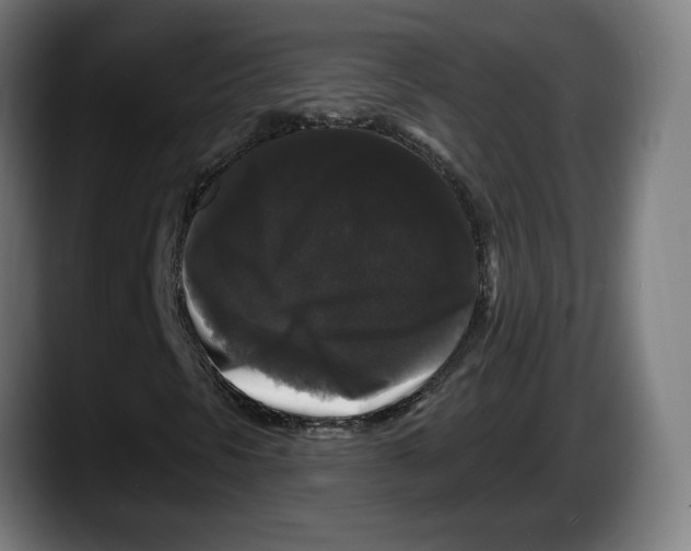 X0000087531297200705251651