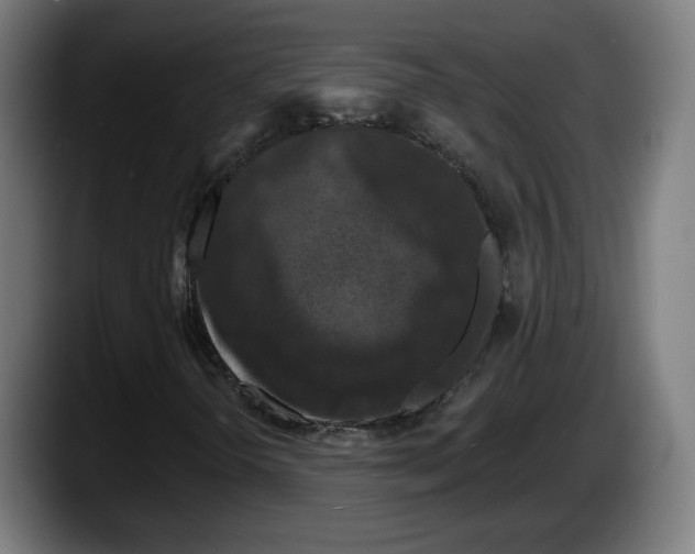 X0000087531298200705251651