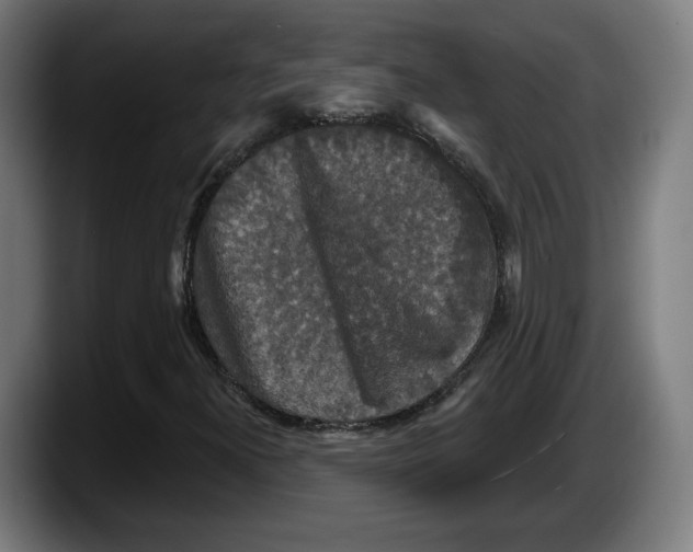 X0000087531300200705251651