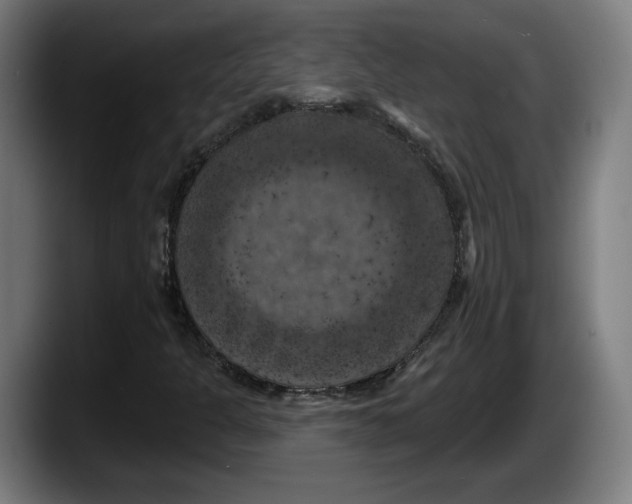X0000087531301200705251651
