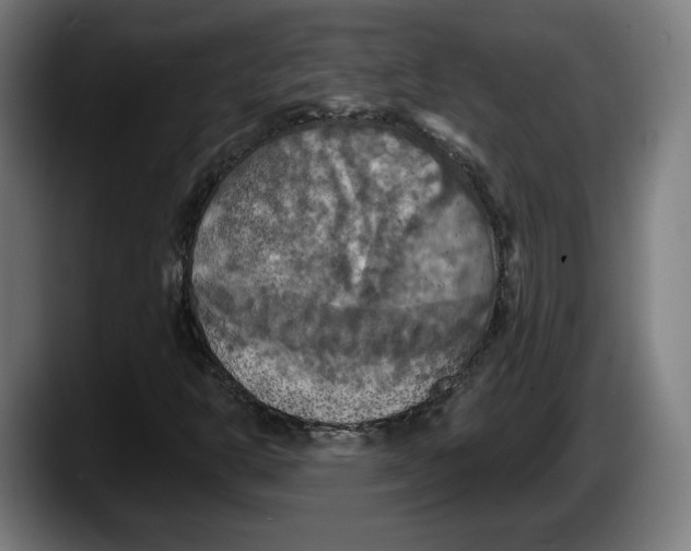 X0000087531302200705251651