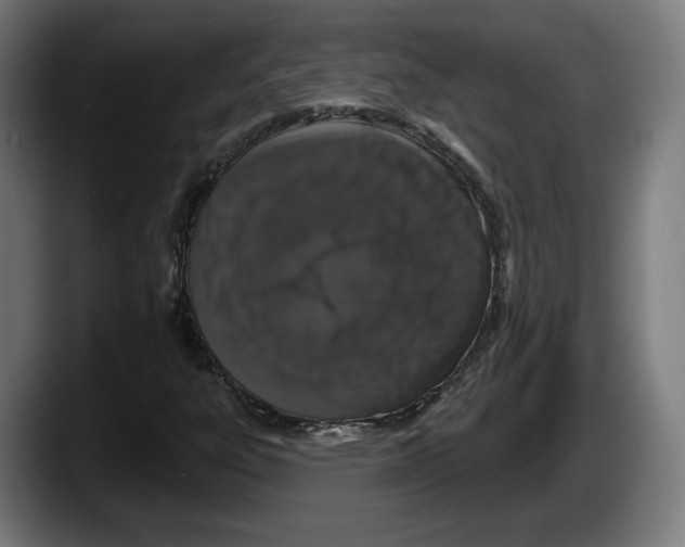 X0000087531303200705251651