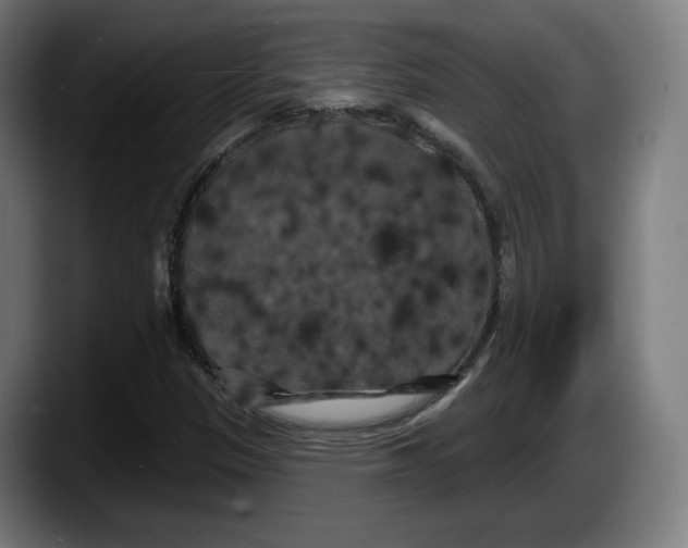 X0000087531305200705251651