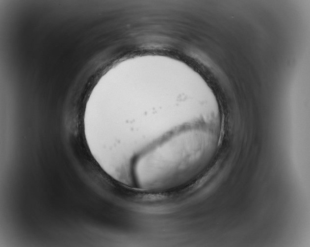 X0000087531306200705251651