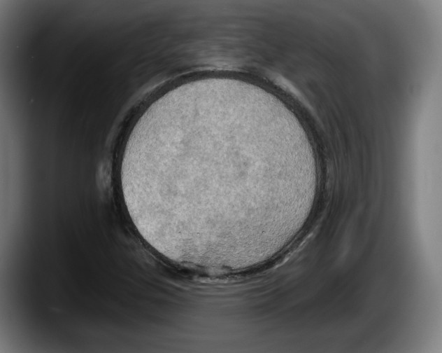 X0000087531307200705251651