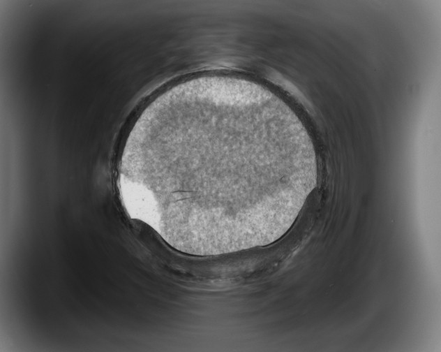 X0000087531308200705251651