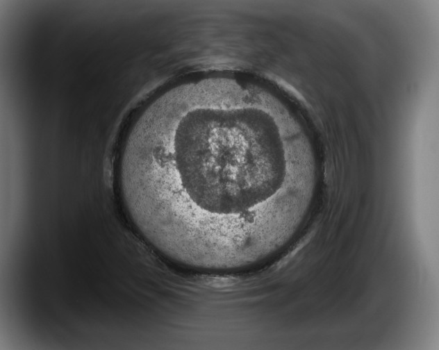 X0000087531309200705251651