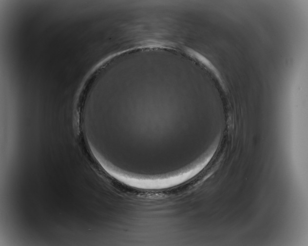 X0000087531310200705251651