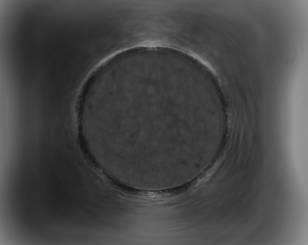 X0000087531311200705251651