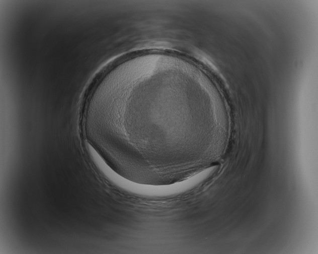 X0000087531312200705251651