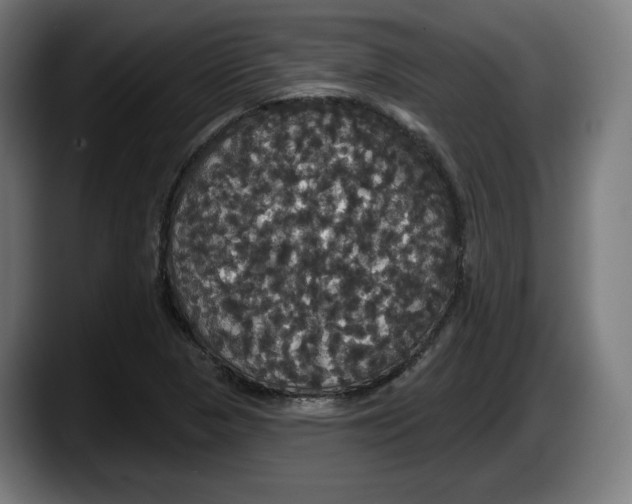 X0000087531313200705251651