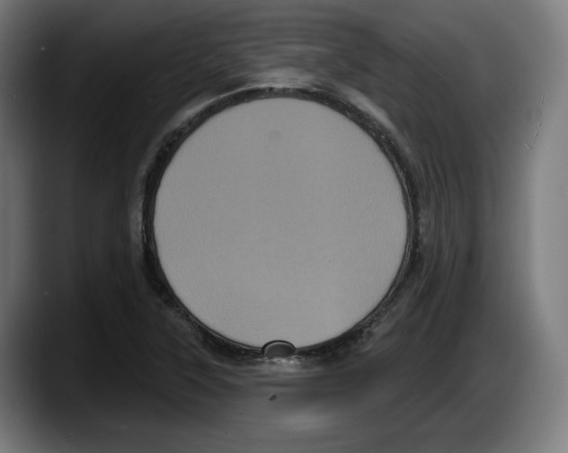 X0000087531315200705251651