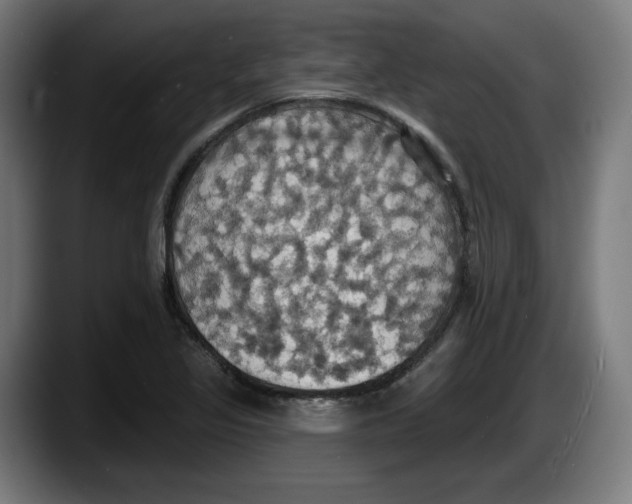 X0000087531317200705251651