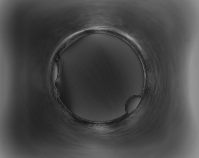 X0000087531319200705251651