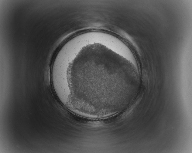 X0000087531320200705251651