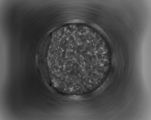 X0000087531321200705251651