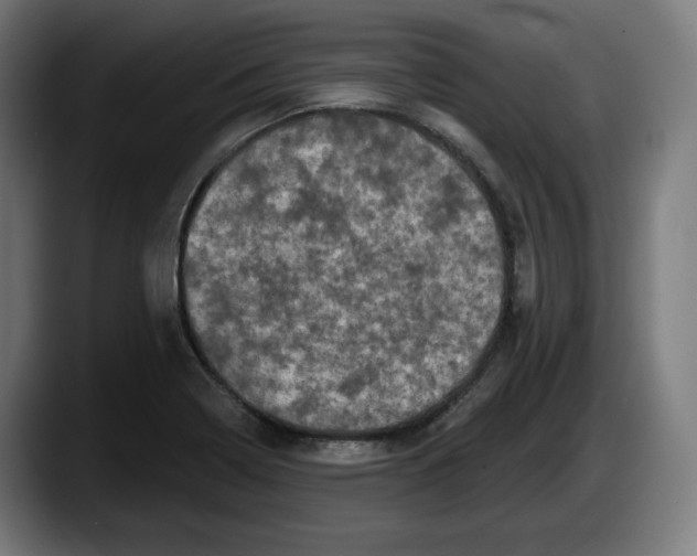 X0000087531322200705251651
