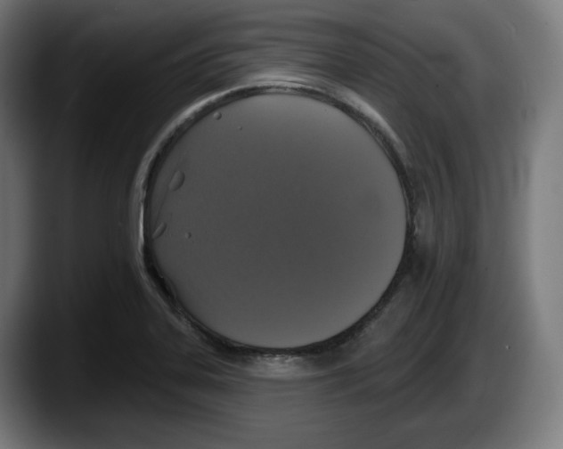 X0000087531323200705251651