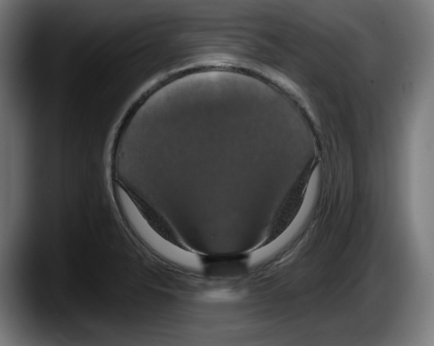 X0000087531326200705251651