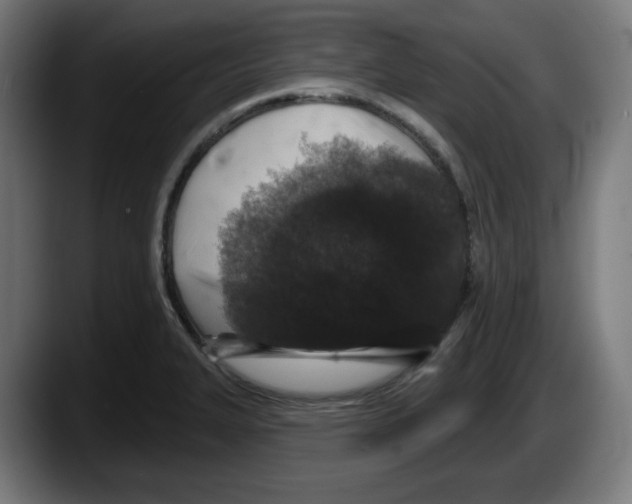 X0000087531327200705251651