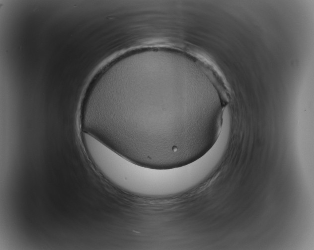 X0000087531328200705251651