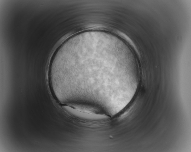 X0000087531330200705251651