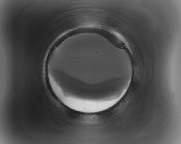 X0000087531331200705251651