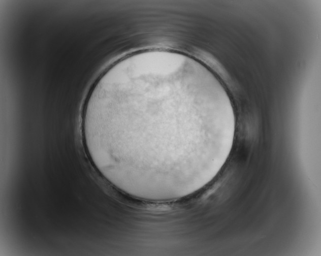X0000087531332200705251651