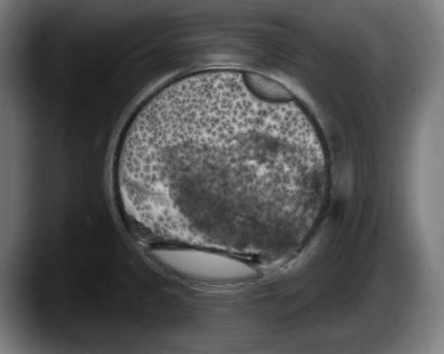 X0000087531333200705251651