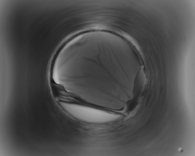 X0000087531334200705251651