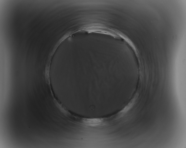 X0000087531337200705251652