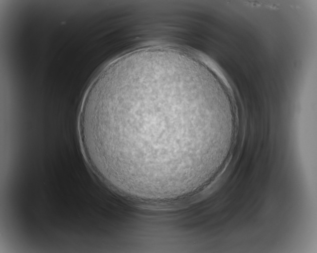 X0000087531338200705251652