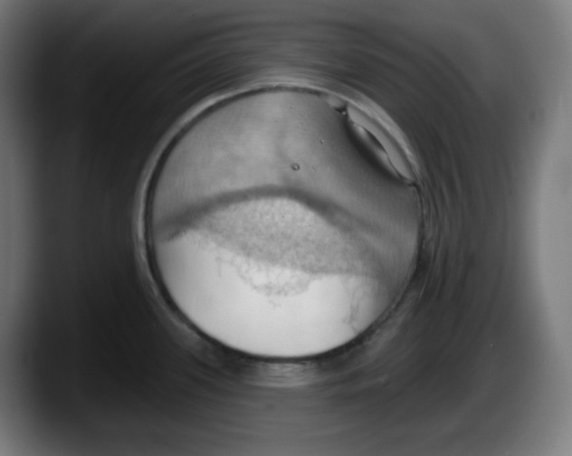 X0000087531339200705251652