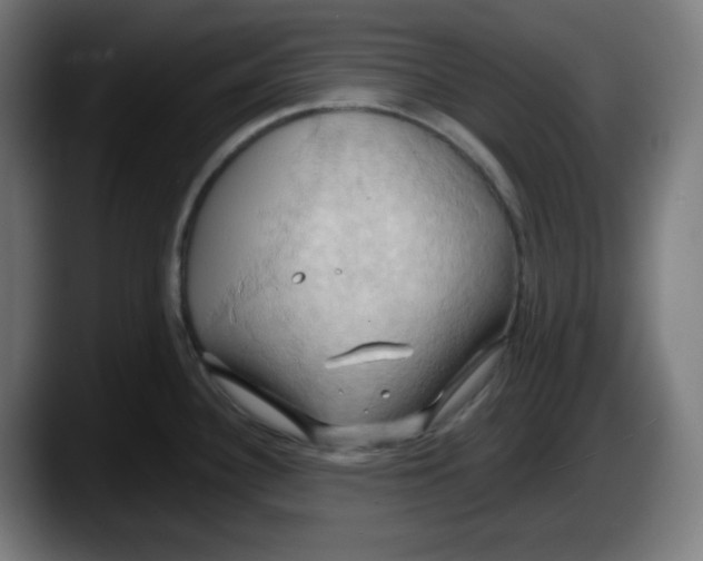 X0000087531340200705251652