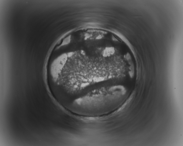X0000087531341200705251652