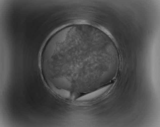 X0000087531342200705251652