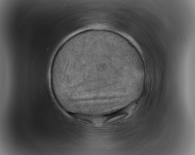X0000087531343200705251652
