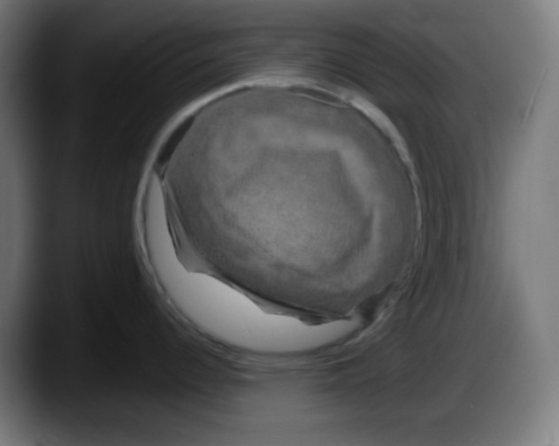 X0000087531344200705251652