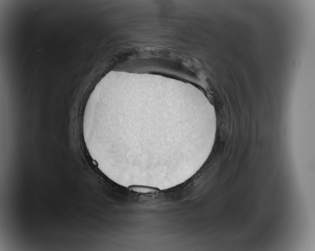 X0000087531345200705251651