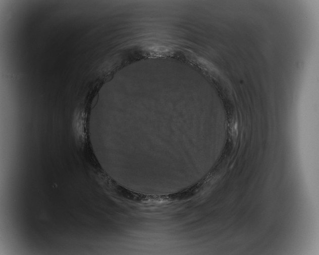 X0000087531346200705251651
