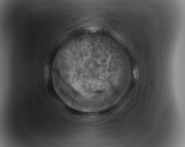 X0000087531347200705251651