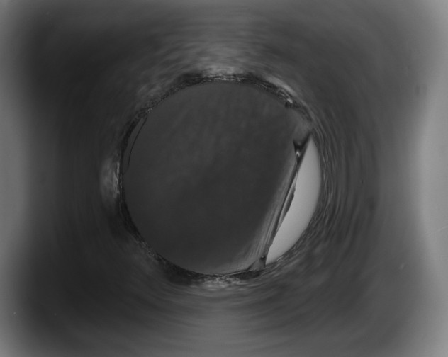 X0000087531348200705251651