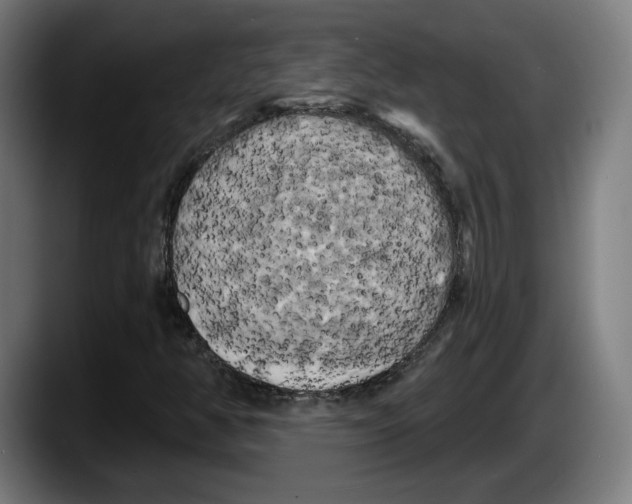 X0000087531350200705251651