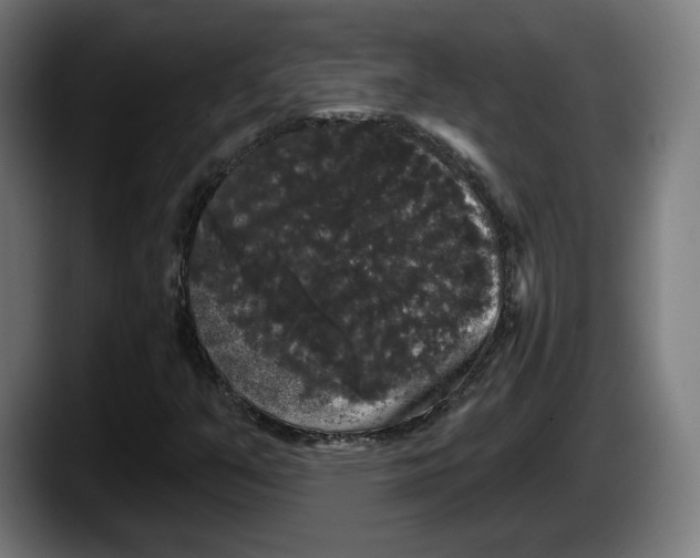 X0000087531351200705251651