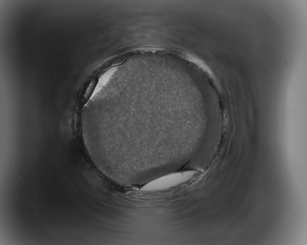 X0000087531352200705251651