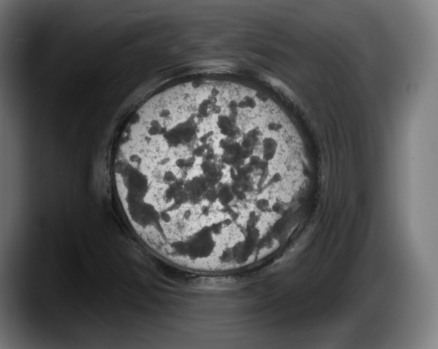 X0000087531354200705251651