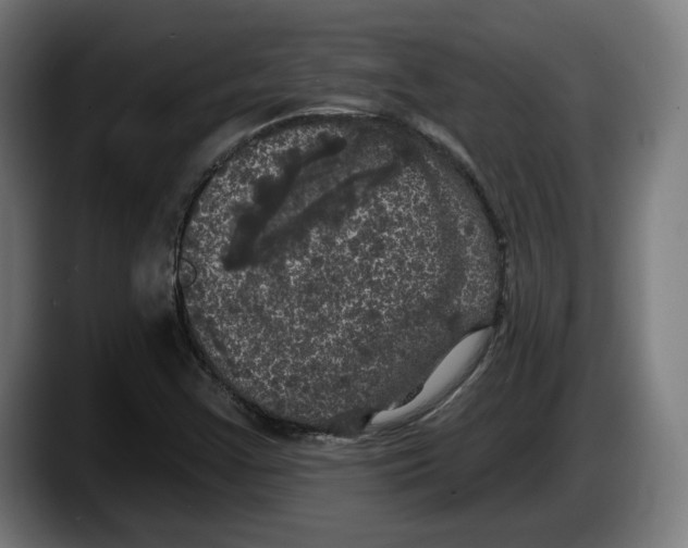 X0000087531355200705251651